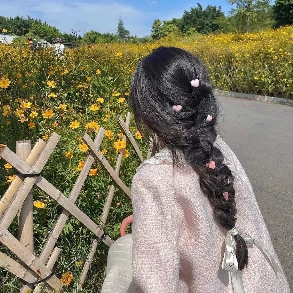 月之心