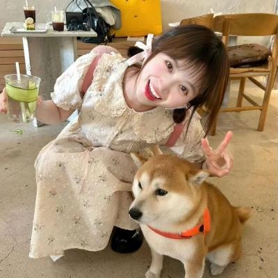 阴羚
